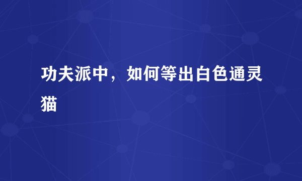 功夫派中，如何等出白色通灵猫