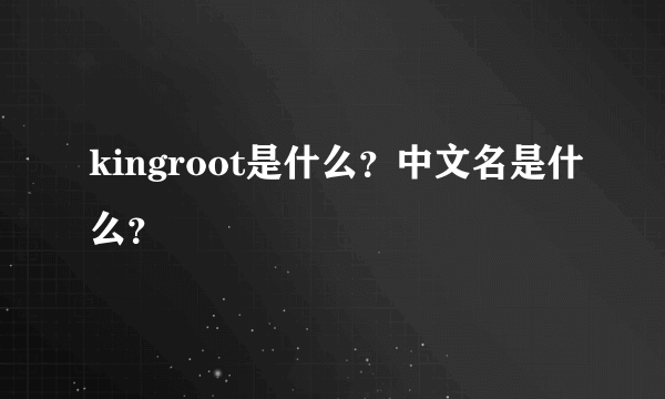 kingroot是什么？中文名是什么？