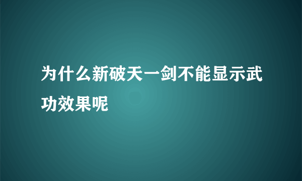 为什么新破天一剑不能显示武功效果呢