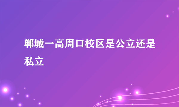 郸城一高周口校区是公立还是私立