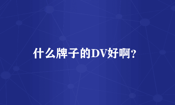 什么牌子的DV好啊？