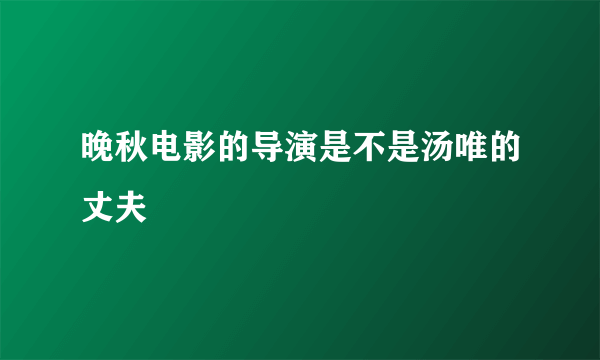 晚秋电影的导演是不是汤唯的丈夫