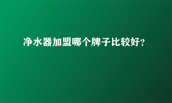 净水器加盟哪个牌子比较好？