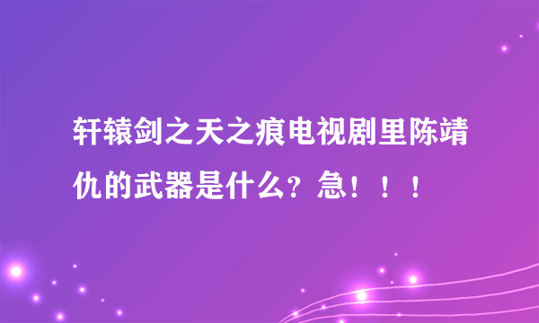 轩辕剑之天之痕电视剧里陈靖仇的武器是什么？急！！！