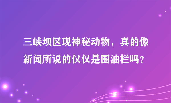 三峡坝区现神秘动物，真的像新闻所说的仅仅是围油栏吗？