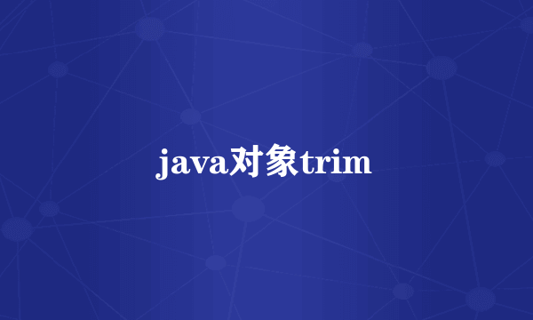 java对象trim