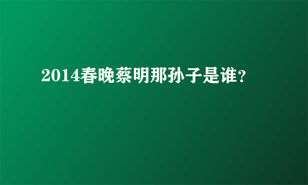 2014春晚蔡明那孙子是谁？