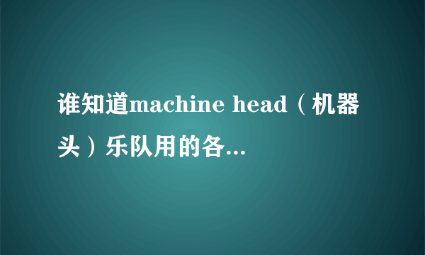 谁知道machine head（机器头）乐队用的各是什么牌子的电吉他，贝司，鼓？音箱和效果器都是什么