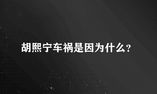 胡熙宁车祸是因为什么？