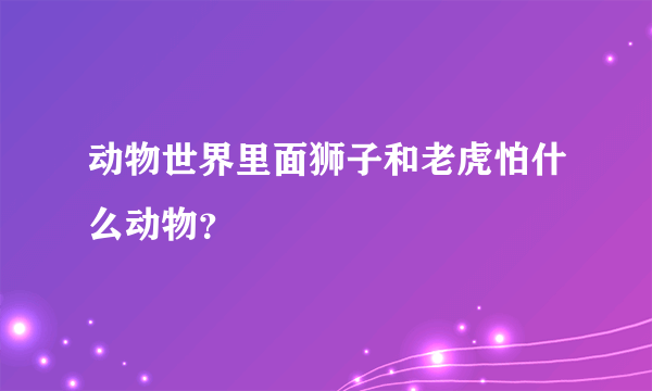 动物世界里面狮子和老虎怕什么动物？