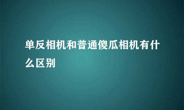 单反相机和普通傻瓜相机有什么区别