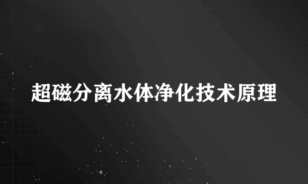 超磁分离水体净化技术原理