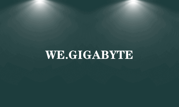 WE.GIGABYTE