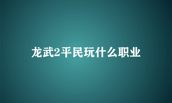 龙武2平民玩什么职业