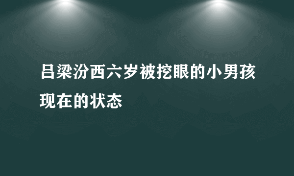 吕梁汾西六岁被挖眼的小男孩现在的状态