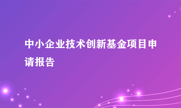 中小企业技术创新基金项目申请报告