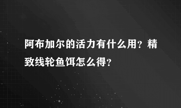 阿布加尔的活力有什么用？精致线轮鱼饵怎么得？