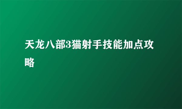 天龙八部3猫射手技能加点攻略