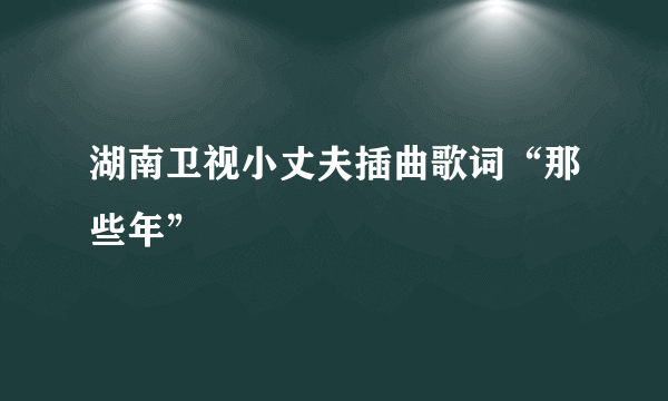 湖南卫视小丈夫插曲歌词“那些年”