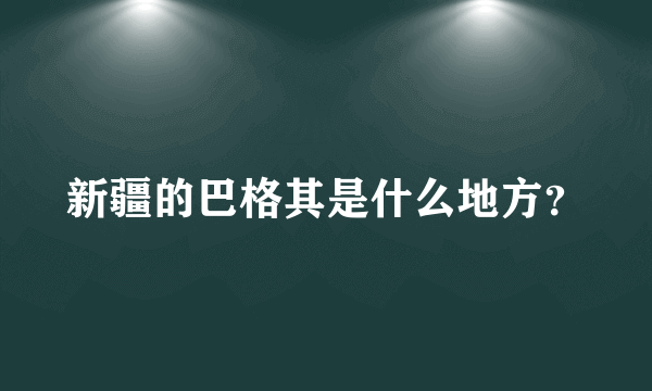 新疆的巴格其是什么地方？