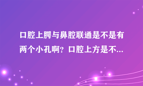 口腔上腭与鼻腔联通是不是有两个小孔啊？口腔上方是不...