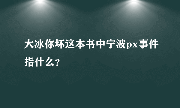 大冰你坏这本书中宁波px事件指什么？