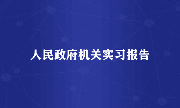 人民政府机关实习报告