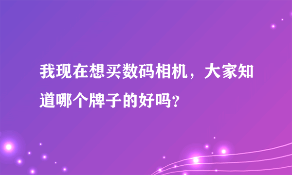 我现在想买数码相机，大家知道哪个牌子的好吗？