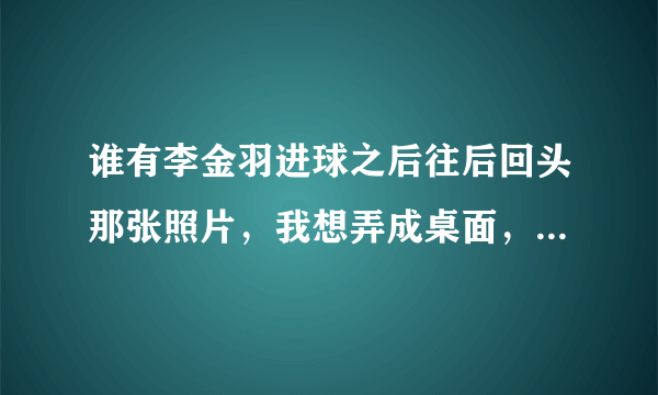 谁有李金羽进球之后往后回头那张照片，我想弄成桌面，截图在下面，谢谢了