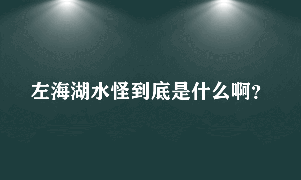 左海湖水怪到底是什么啊？