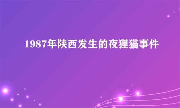 1987年陕西发生的夜狸猫事件