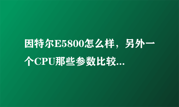 因特尔E5800怎么样，另外一个CPU那些参数比较重要？？？