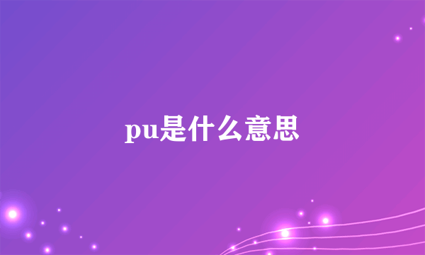 pu是什么意思