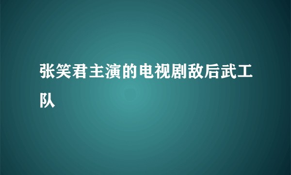 张笑君主演的电视剧敌后武工队