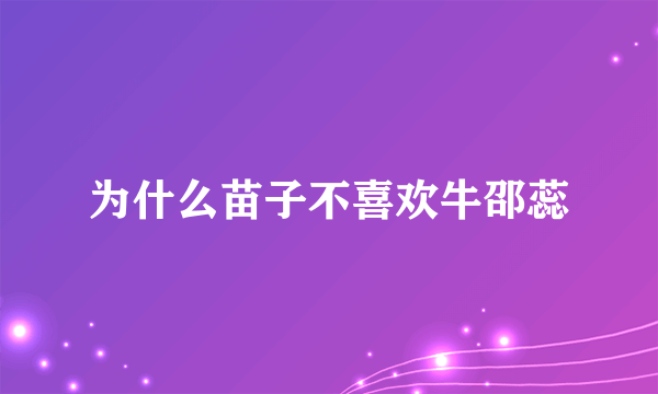 为什么苗子不喜欢牛邵蕊