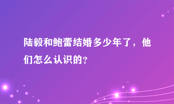 陆毅和鲍蕾结婚多少年了，他们怎么认识的？