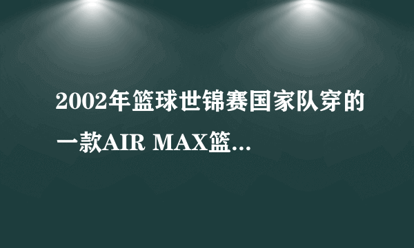 2002年篮球世锦赛国家队穿的一款AIR MAX篮球鞋的货号