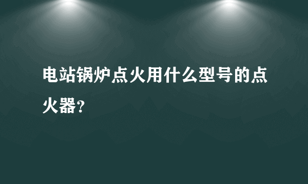 电站锅炉点火用什么型号的点火器？