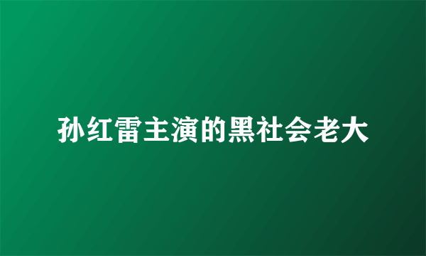 孙红雷主演的黑社会老大