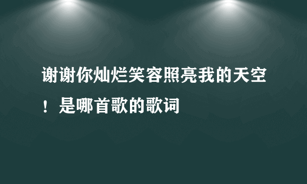 谢谢你灿烂笑容照亮我的天空！是哪首歌的歌词