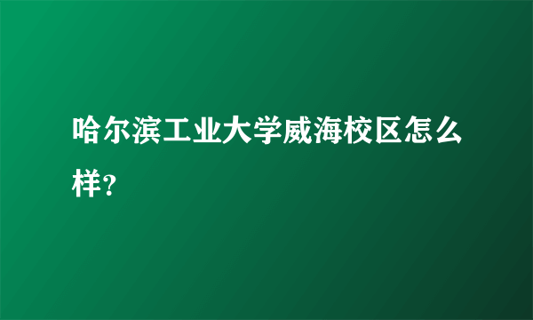 哈尔滨工业大学威海校区怎么样？