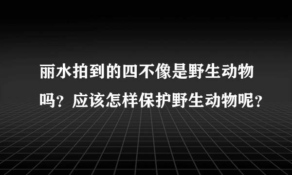 丽水拍到的四不像是野生动物吗？应该怎样保护野生动物呢？