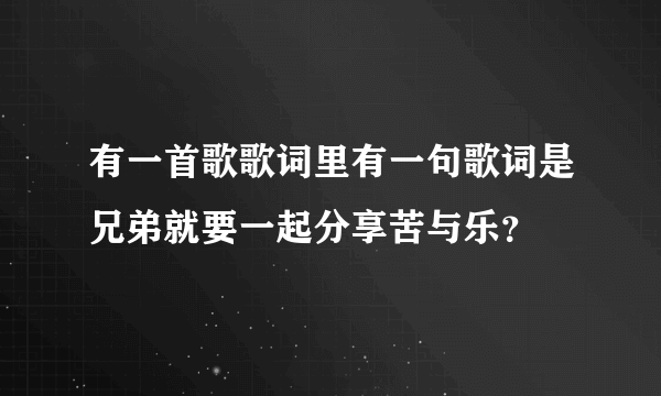 有一首歌歌词里有一句歌词是兄弟就要一起分享苦与乐？