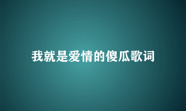 我就是爱情的傻瓜歌词