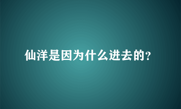 仙洋是因为什么进去的？