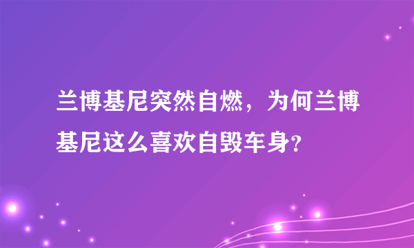 兰博基尼突然自燃，为何兰博基尼这么喜欢自毁车身？