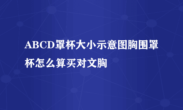 ABCD罩杯大小示意图胸围罩杯怎么算买对文胸