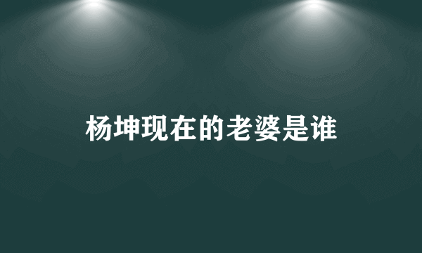 杨坤现在的老婆是谁