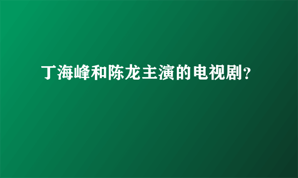 丁海峰和陈龙主演的电视剧？