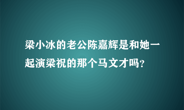 梁小冰的老公陈嘉辉是和她一起演梁祝的那个马文才吗？